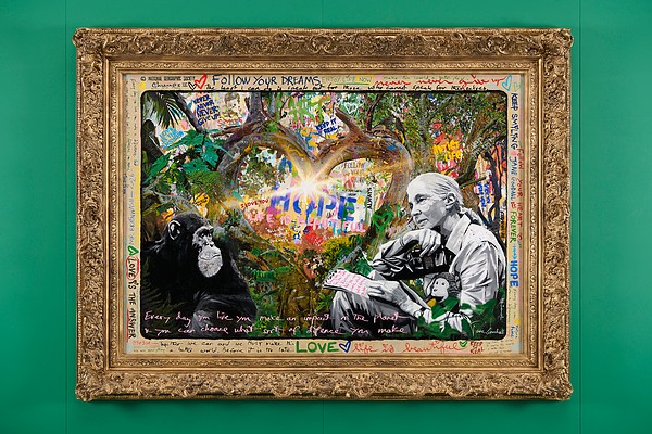 Mr Brainwash painting Jane Goodall's Light of Life Is Forever in its gold frame at the Science Museum
